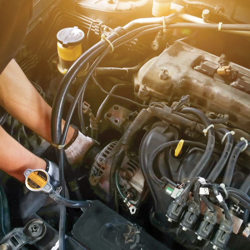 Warrior Automotive Engine Repair Tipp City